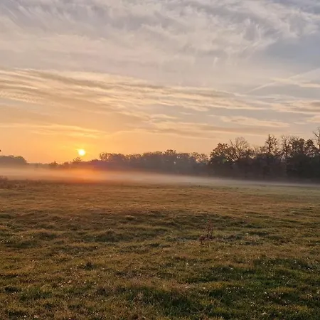 Henriette Apartmán Oranienbaum-Woerlitz